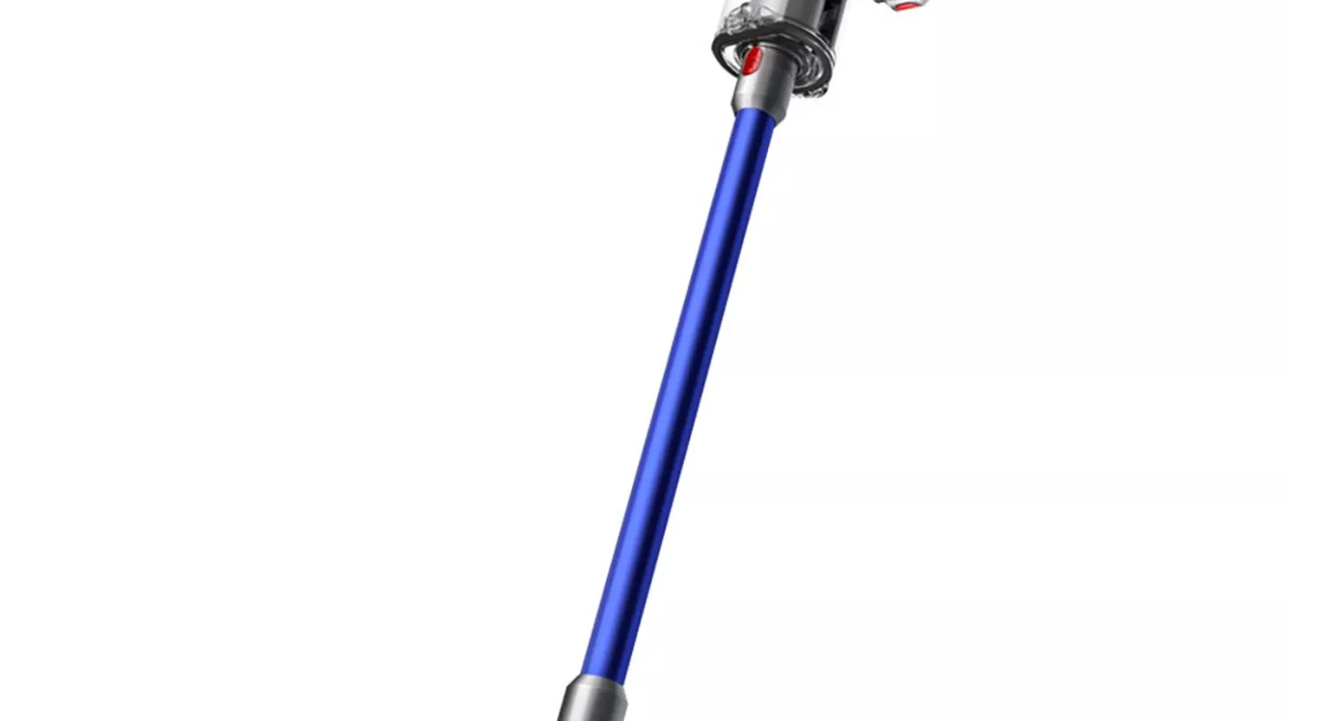Dyson V11